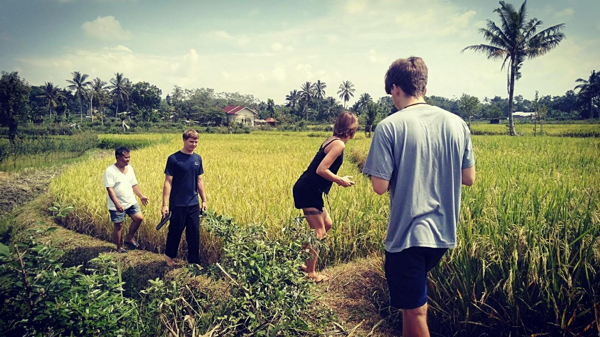 Bujak Permai Villa Matahari Lombok Ntb Praya Exteriör bild