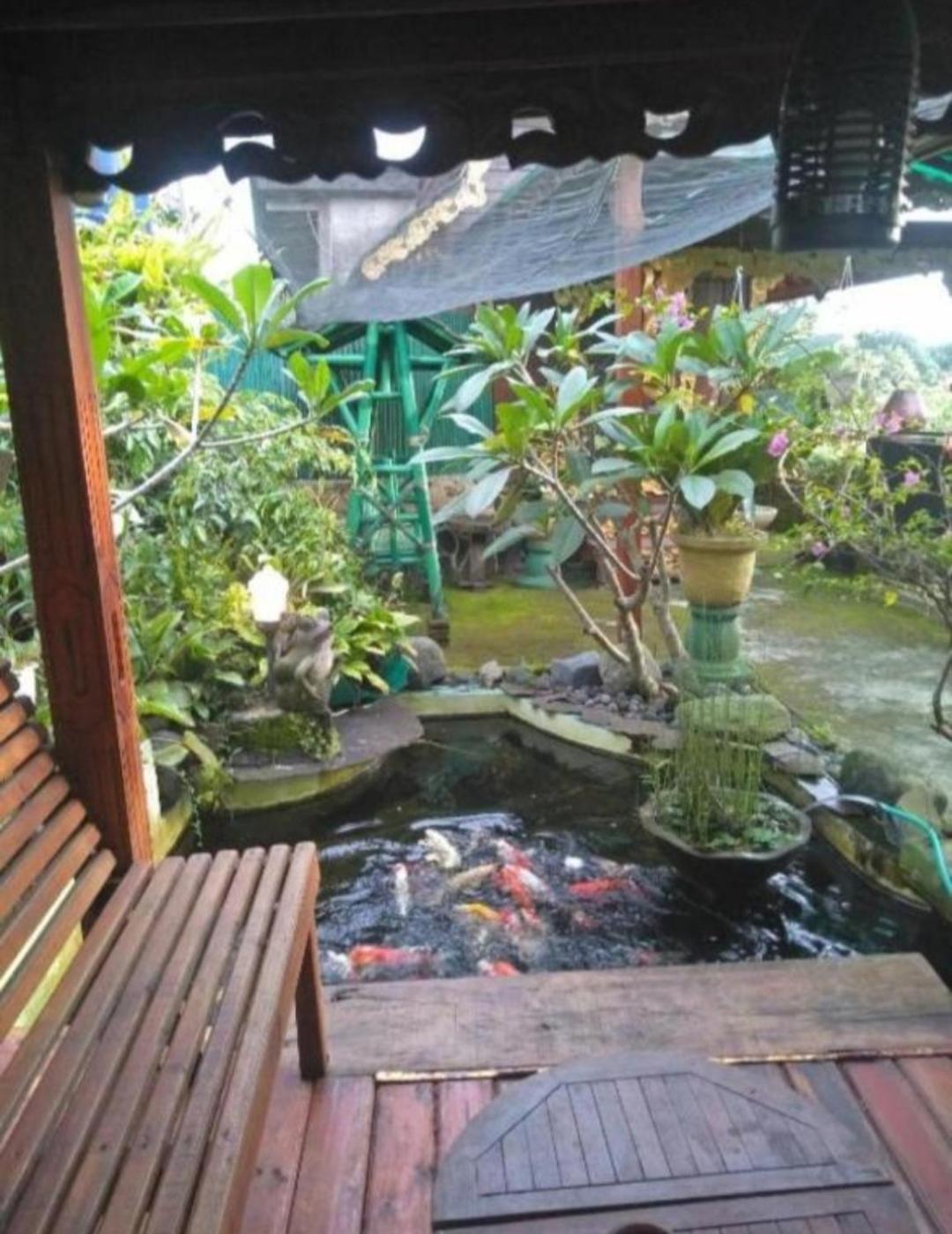 Bujak Permai Villa Matahari Lombok Ntb Praya Exteriör bild