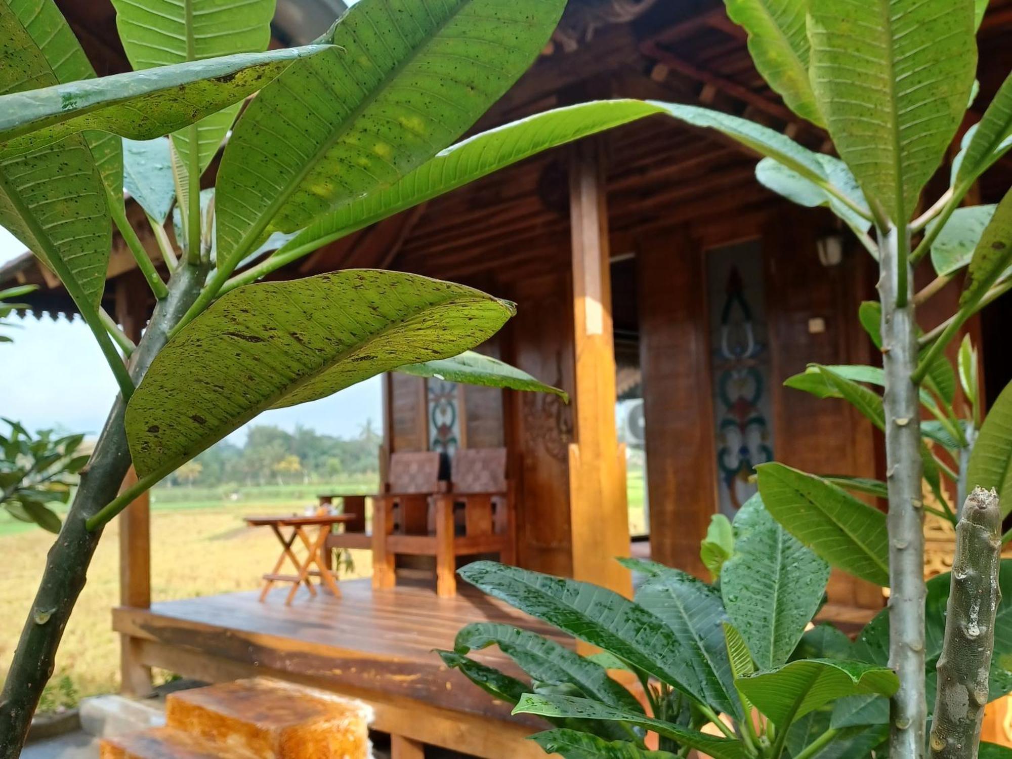 Bujak Permai Villa Matahari Lombok Ntb Praya Exteriör bild